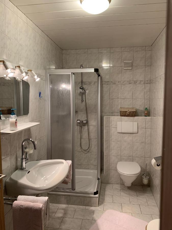 Apartements Birkenhof Maria Alm am Steinernen Meer Εξωτερικό φωτογραφία